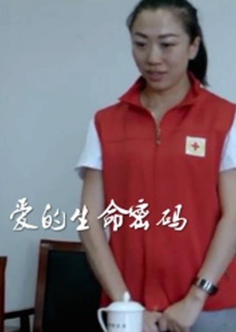 爱的生命密码海报